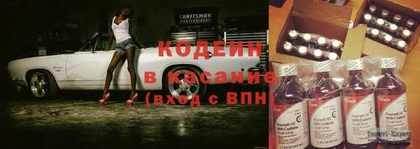 индика Нея