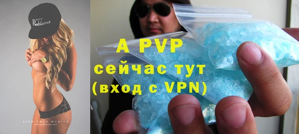 индика Нея