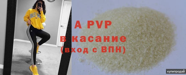 индика Нея