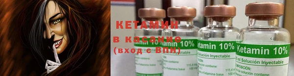 индика Нея