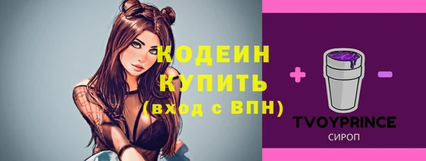 индика Нея