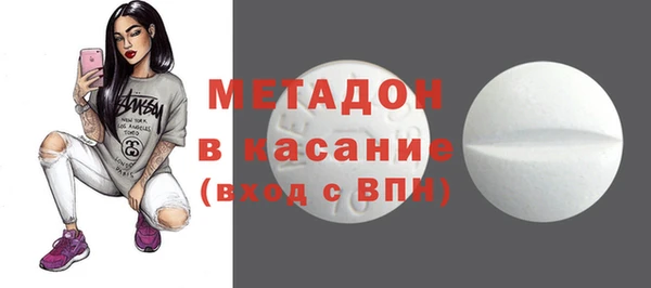индика Нея
