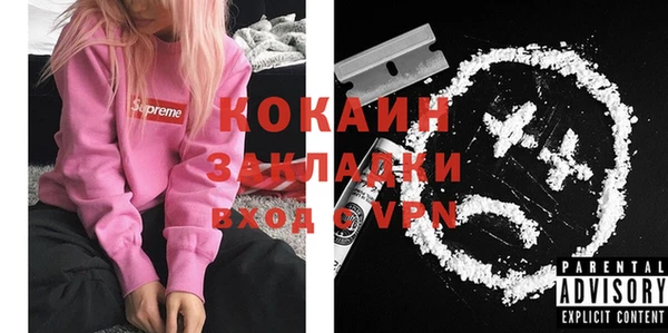 индика Нея
