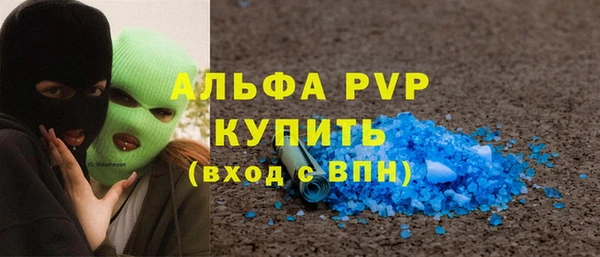 индика Нея