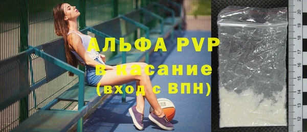 индика Нея