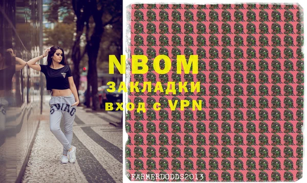 индика Нея