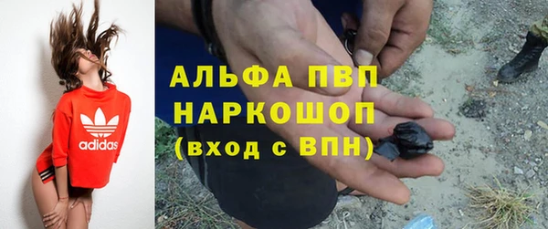 PSILOCYBIN Нефтегорск