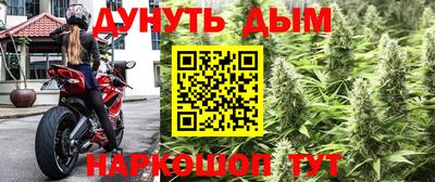 не бодяженный Кингисепп