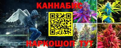 не бодяженный Кингисепп