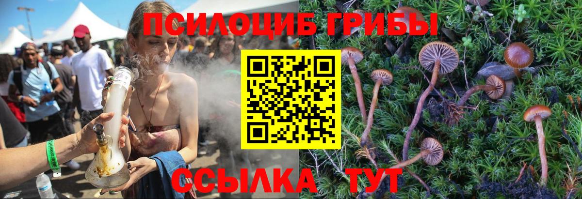 Псилоцибиновые грибы GOLDEN TEACHER Норильск