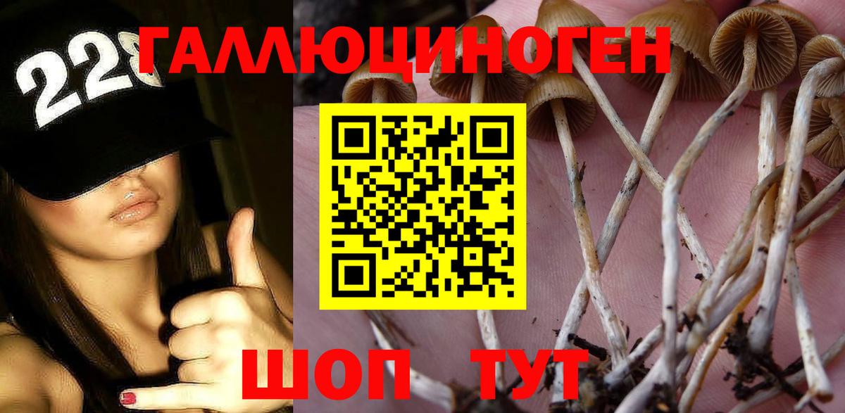 цены   Норильск  Псилоцибиновые грибы Magic Shrooms 